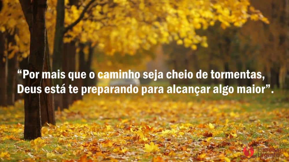 Palavras de motivação: 32 frases e mensagens para motivar sua vida - Palavras de motivação: 32 frases e mensagens para motivar sua vida -